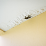 Signs of roof damage that help you know when you need a roof repalcement 
